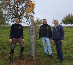 "Baumpflanz-Challange 2025"